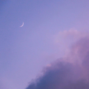 欧美性猛交 XXXX 乱大交8
